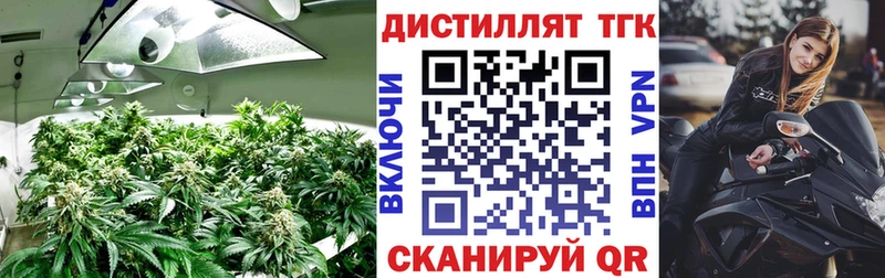ТГК гашишное масло  Купить закладки  Ярцево 